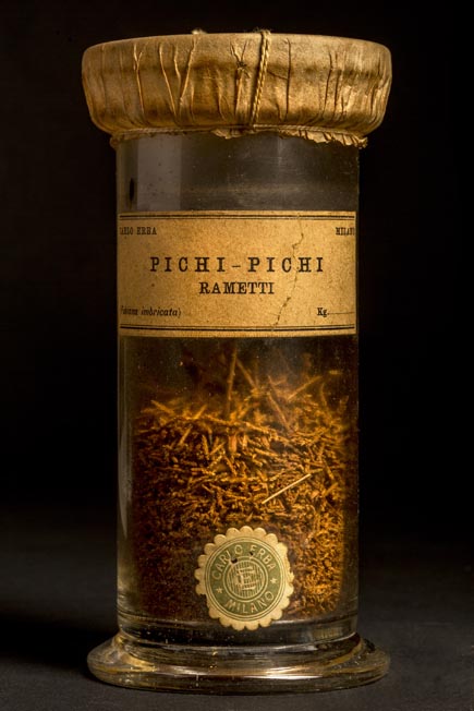 PICHI-PICHI - rametti